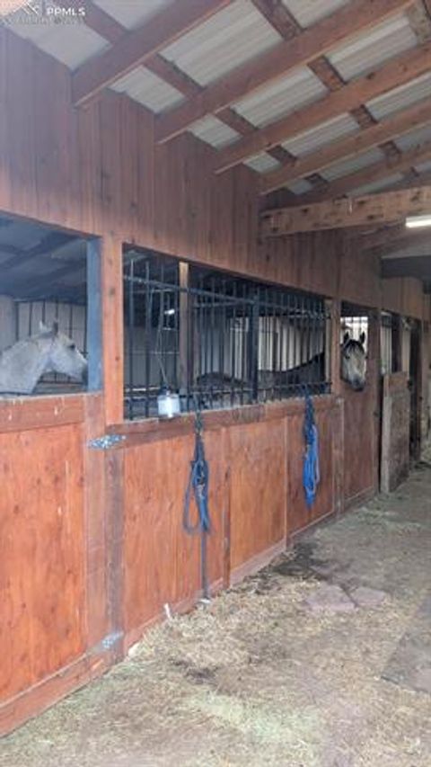 Tiny photo for 13599 County Road 1, Florissant, CO 80816 (MLS # 8586752)