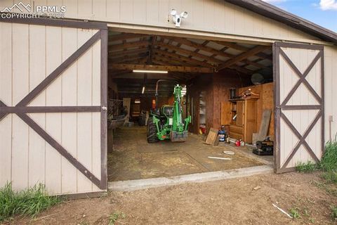 Tiny photo for 13599 County Road 1, Florissant, CO 80816 (MLS # 8586752)