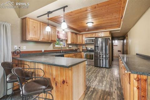 Tiny photo for 13599 County Road 1, Florissant, CO 80816 (MLS # 8586752)