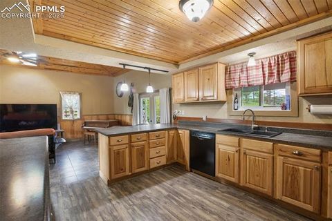 Tiny photo for 13599 County Road 1, Florissant, CO 80816 (MLS # 8586752)