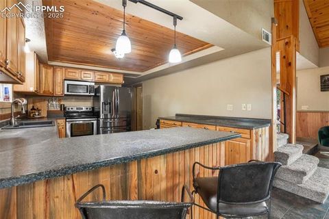 Tiny photo for 13599 County Road 1, Florissant, CO 80816 (MLS # 8586752)