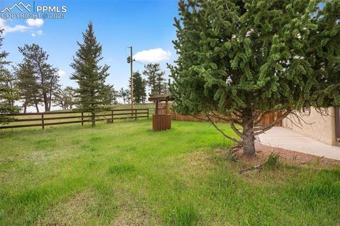 Tiny photo for 13599 County Road 1, Florissant, CO 80816 (MLS # 8586752)