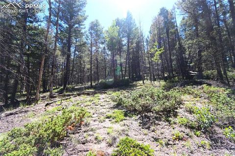 0 Pitchblende Road Florissant CO 80816
