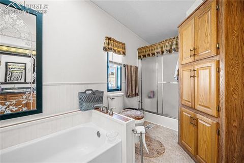 Tiny photo for 8435 Savage Road, Beulah, CO 81023 (MLS # 9111749)