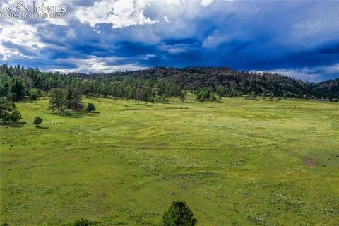 Photo of TBD Spring Valley Drive, Florissant, CO 80816 (MLS # 3327150)
