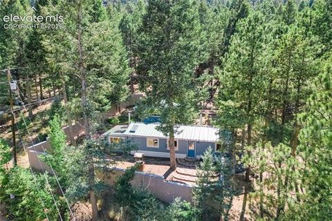Photo of 196 Summer Haven Drive, Woodland Park, CO 80863 (MLS # 1920774)