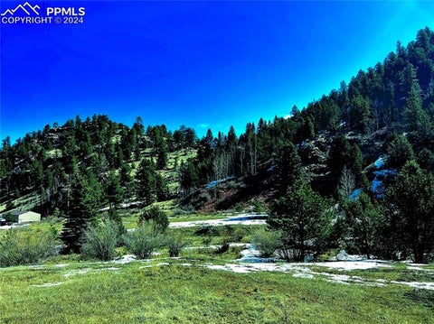 Featured picture for the property 1015916