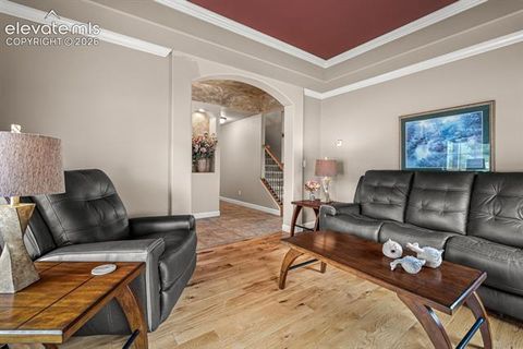Tiny photo for 5655 Bridlespur Ridge Place, Colorado Springs, CO 80918 (MLS # 4980624)