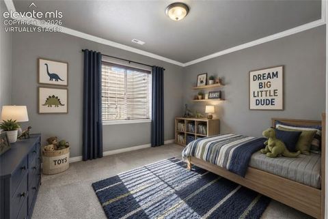 Tiny photo for 2479 Pine Valley View, Colorado Springs, CO 80920 (MLS # 8191699)