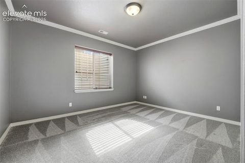 Tiny photo for 2479 Pine Valley View, Colorado Springs, CO 80920 (MLS # 8191699)