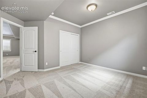Tiny photo for 2479 Pine Valley View, Colorado Springs, CO 80920 (MLS # 8191699)