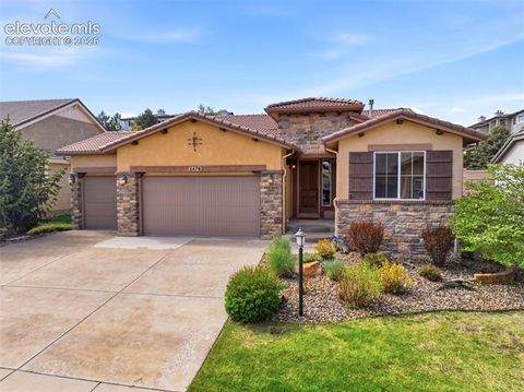 Photo of 2479 Pine Valley View, Colorado Springs, CO 80920 (MLS # 8191699)