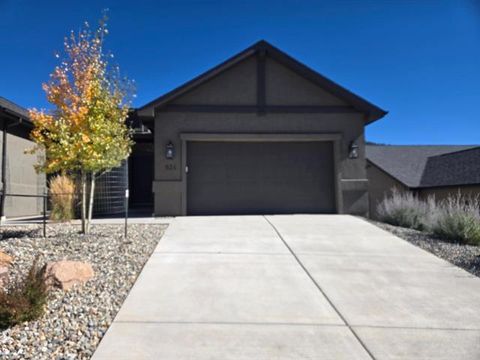 Photo of 524 Brecken Court, Woodland Park, CO 80863 (MLS # R12734501)