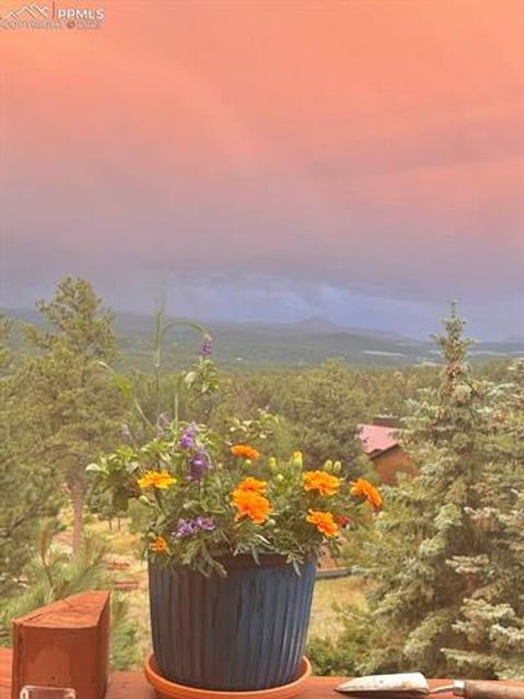 Tiny photo for 361 Crystal Peak Road, Florissant, CO 80816 (MLS # 8233546)