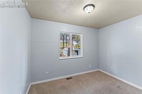 Tiny photo for 1260 Sundance Street, Woodland Park, CO 80863 (MLS # 2221634)