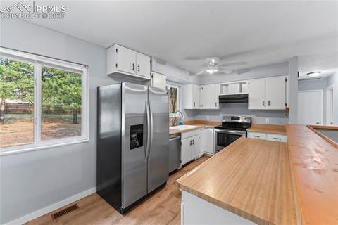 Tiny photo for 1260 Sundance Street, Woodland Park, CO 80863 (MLS # 2221634)