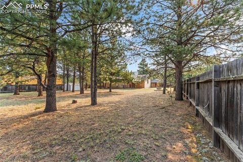 Tiny photo for 1260 Sundance Street, Woodland Park, CO 80863 (MLS # 2221634)