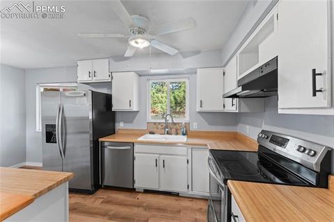 Tiny photo for 1260 Sundance Street, Woodland Park, CO 80863 (MLS # 2221634)