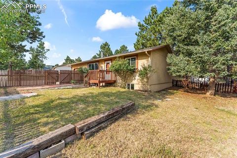 Tiny photo for 1260 Sundance Street, Woodland Park, CO 80863 (MLS # 2221634)