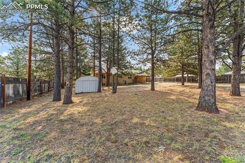 Tiny photo for 1260 Sundance Street, Woodland Park, CO 80863 (MLS # 2221634)