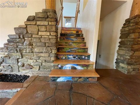 Tiny photo for 311 Panther Court, Woodland Park, CO 80863 (MLS # 8959601)