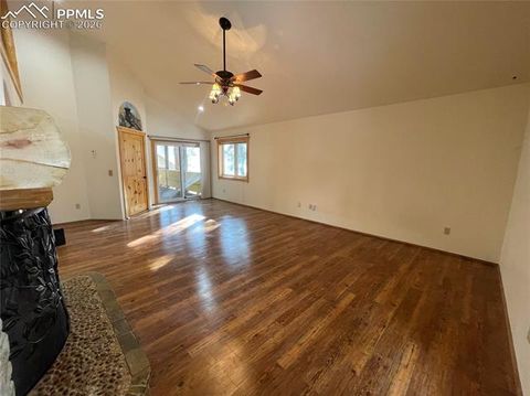 Tiny photo for 311 Panther Court, Woodland Park, CO 80863 (MLS # 8959601)