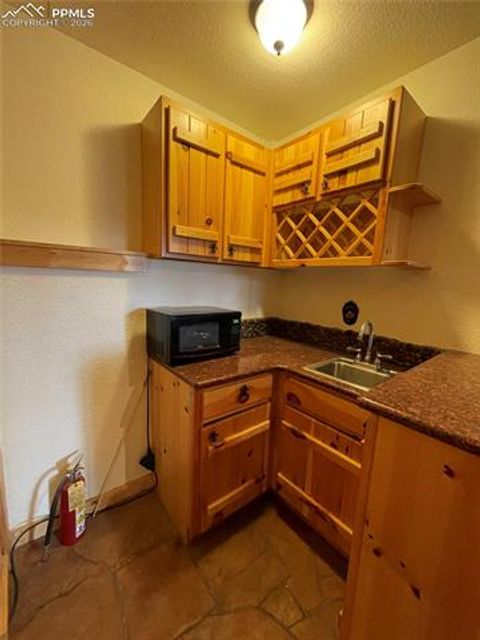 Tiny photo for 311 Panther Court, Woodland Park, CO 80863 (MLS # 8959601)