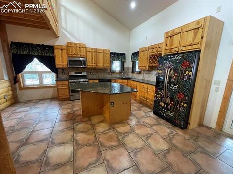 Tiny photo for 311 Panther Court, Woodland Park, CO 80863 (MLS # 8959601)