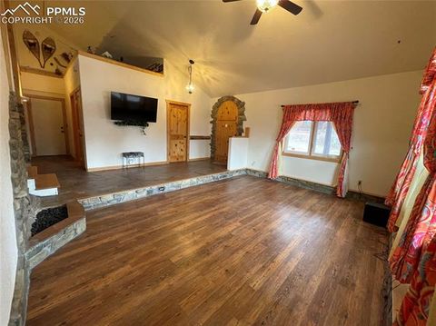 Tiny photo for 311 Panther Court, Woodland Park, CO 80863 (MLS # 8959601)