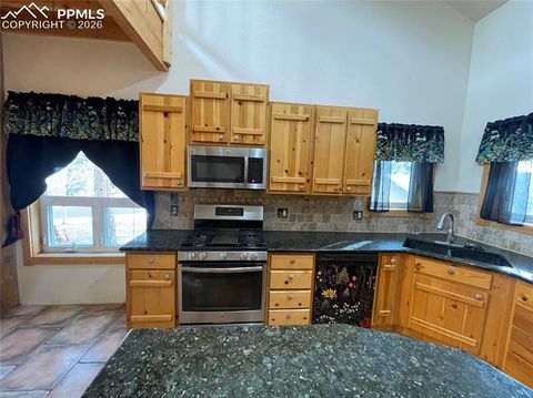 Tiny photo for 311 Panther Court, Woodland Park, CO 80863 (MLS # 8959601)