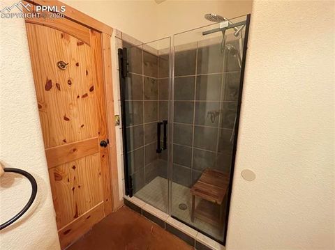 Tiny photo for 311 Panther Court, Woodland Park, CO 80863 (MLS # 8959601)