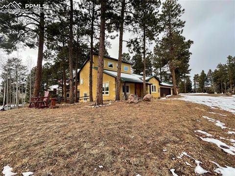 Tiny photo for 311 Panther Court, Woodland Park, CO 80863 (MLS # 8959601)