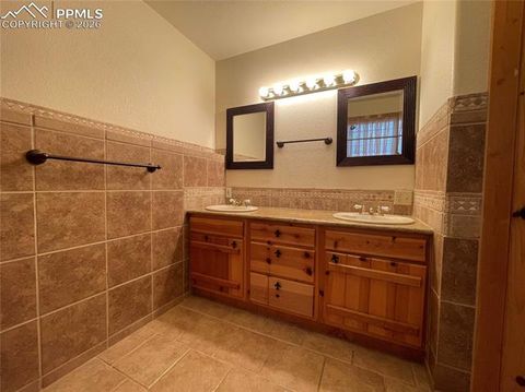 Tiny photo for 311 Panther Court, Woodland Park, CO 80863 (MLS # 8959601)