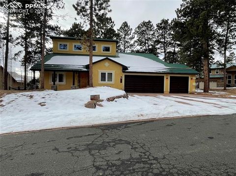 Photo of 311 Panther Court, Woodland Park, CO 80863 (MLS # 8959601)