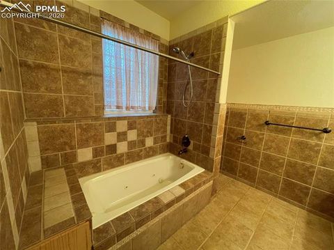 Tiny photo for 311 Panther Court, Woodland Park, CO 80863 (MLS # 8959601)