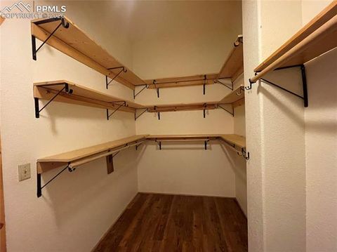 Tiny photo for 311 Panther Court, Woodland Park, CO 80863 (MLS # 8959601)