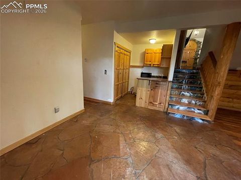 Tiny photo for 311 Panther Court, Woodland Park, CO 80863 (MLS # 8959601)