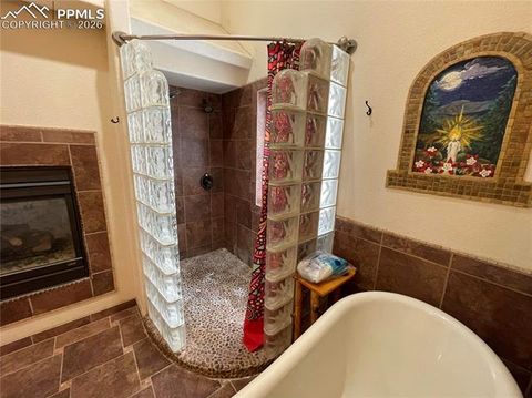 Tiny photo for 311 Panther Court, Woodland Park, CO 80863 (MLS # 8959601)