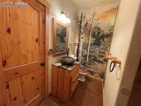 Tiny photo for 311 Panther Court, Woodland Park, CO 80863 (MLS # 8959601)