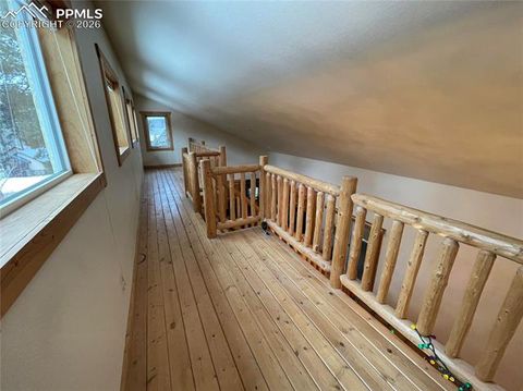 Tiny photo for 311 Panther Court, Woodland Park, CO 80863 (MLS # 8959601)