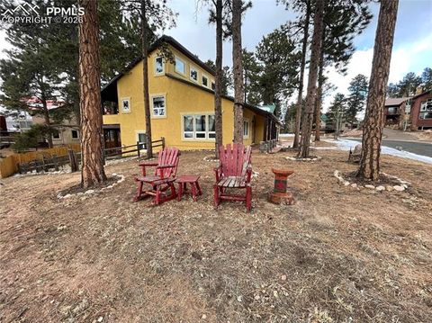 Tiny photo for 311 Panther Court, Woodland Park, CO 80863 (MLS # 8959601)