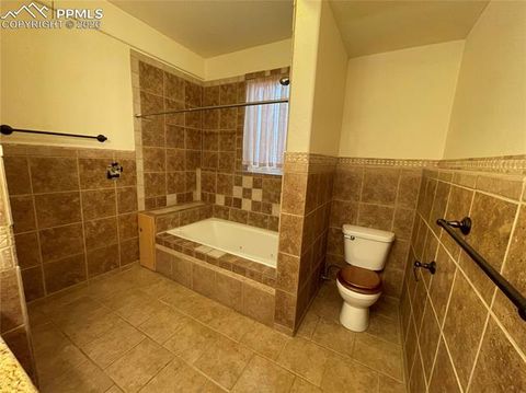 Tiny photo for 311 Panther Court, Woodland Park, CO 80863 (MLS # 8959601)