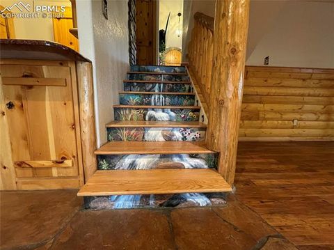 Tiny photo for 311 Panther Court, Woodland Park, CO 80863 (MLS # 8959601)