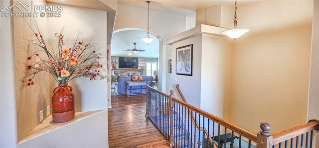 11497 Lobo Peak Drive
