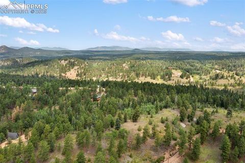 Tiny photo for 534 Poncha Creek Trail, Florissant, CO 80816 (MLS # 5825847)