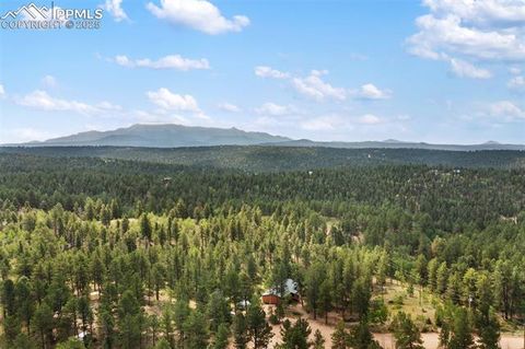 Tiny photo for 534 Poncha Creek Trail, Florissant, CO 80816 (MLS # 5825847)