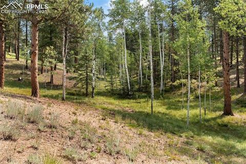 Tiny photo for 534 Poncha Creek Trail, Florissant, CO 80816 (MLS # 5825847)