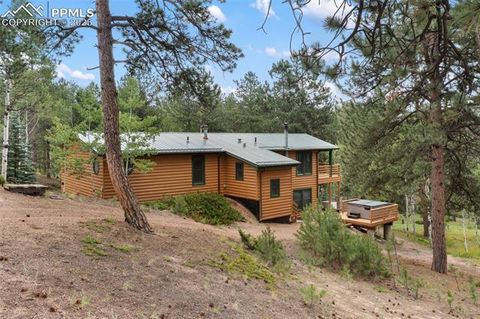 Tiny photo for 534 Poncha Creek Trail, Florissant, CO 80816 (MLS # 5825847)