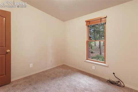 Tiny photo for 534 Poncha Creek Trail, Florissant, CO 80816 (MLS # 5825847)
