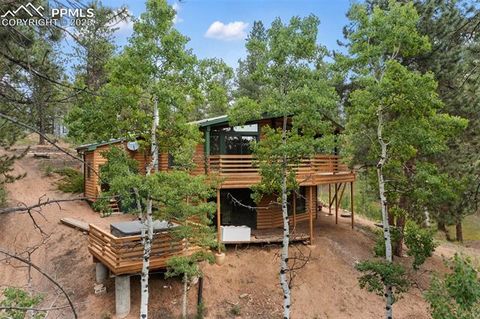 Tiny photo for 534 Poncha Creek Trail, Florissant, CO 80816 (MLS # 5825847)